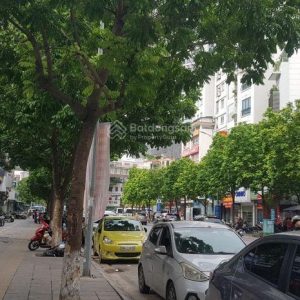 Tòa Nhà 800m2 sàn Mặt phố Khúc Thừa Dụ- Dòng tiền 2,5tỷ/năm-MT 8m - giá T thuận